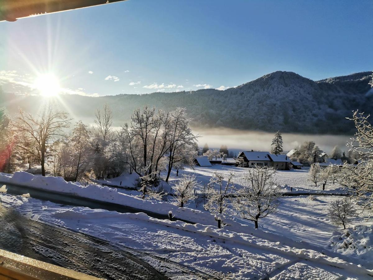 블레드 Tourist Farm Mulej 빌라 외부 사진