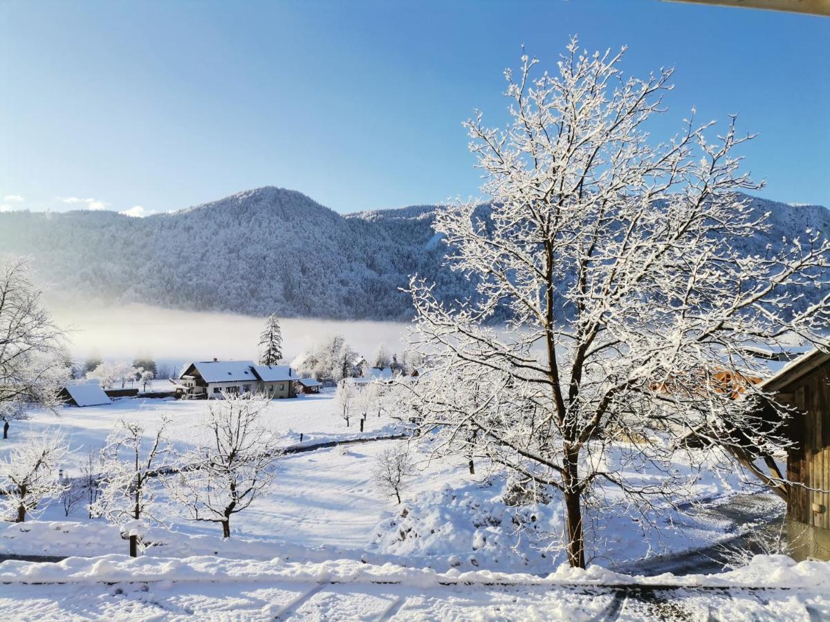 블레드 Tourist Farm Mulej 빌라 외부 사진